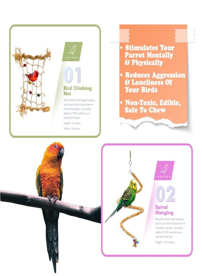 PETZOO Bundle of 8 Birds Toys Climbing Net, Paper Shredded Foraging Chew, Swings, Ring Perches & Hangings - Image 2
